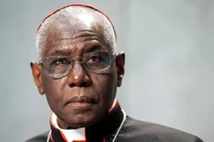 Kardinal Sarah, kønsideologi og kampen om sandheden